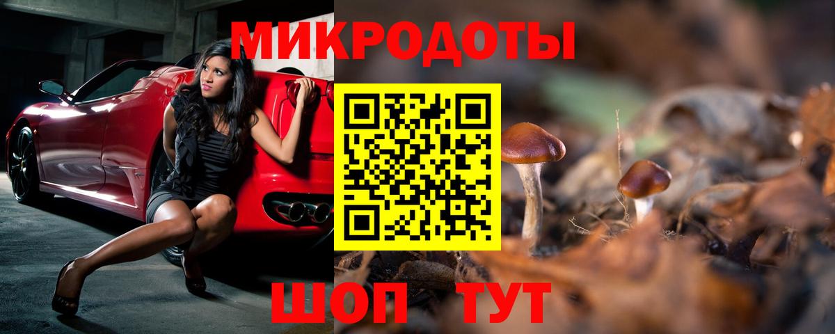 Псилоцибиновые грибы мицелий Котлас
