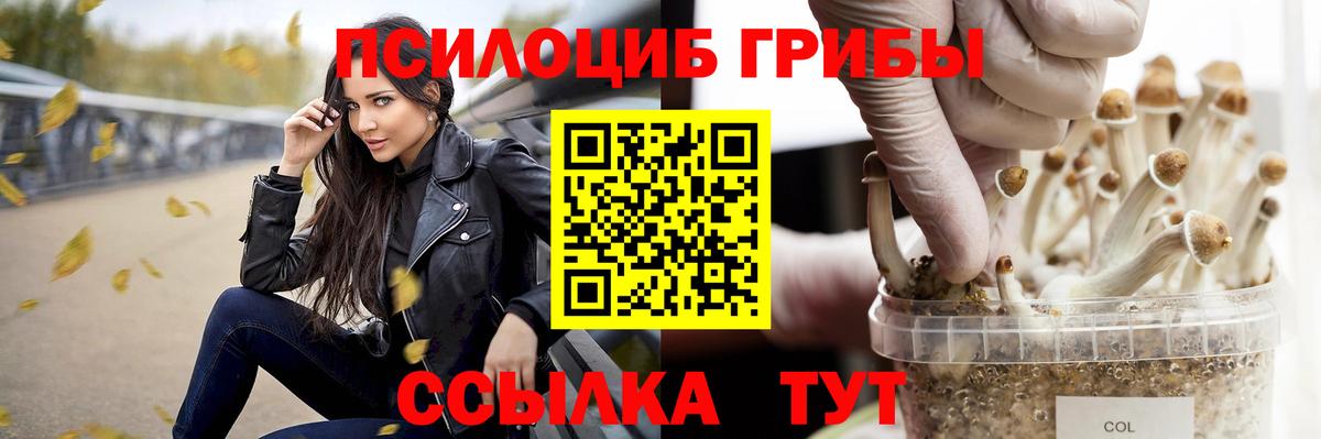 Псилоцибиновые грибы мухоморы  Галлюциногенные грибы мицелий  купить наркотики цена  Котлас  Вход с VPN 